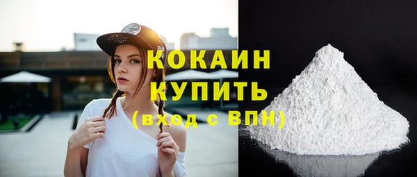 соль ск Волосово
